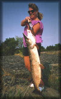 H�r skulle det ha funnits en g�dda!